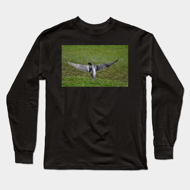 A Peregrine's wingspan Long Sleeve T-Shirt by declancarr